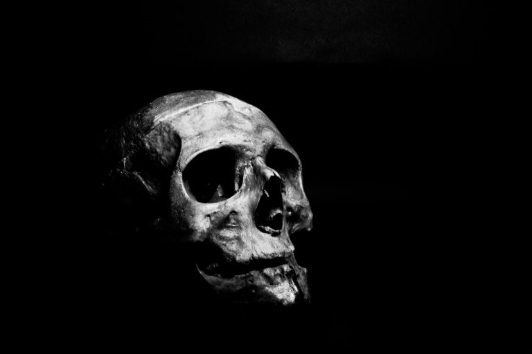 Pourquoi la tête de mort est à la mode ?