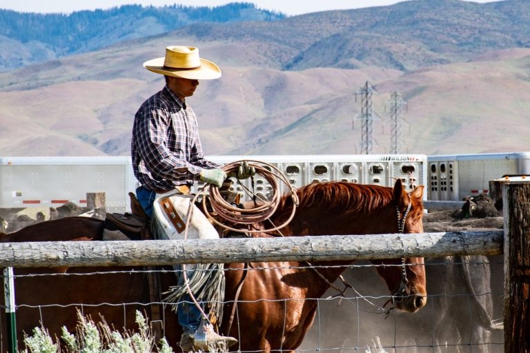 chapeau cowboy