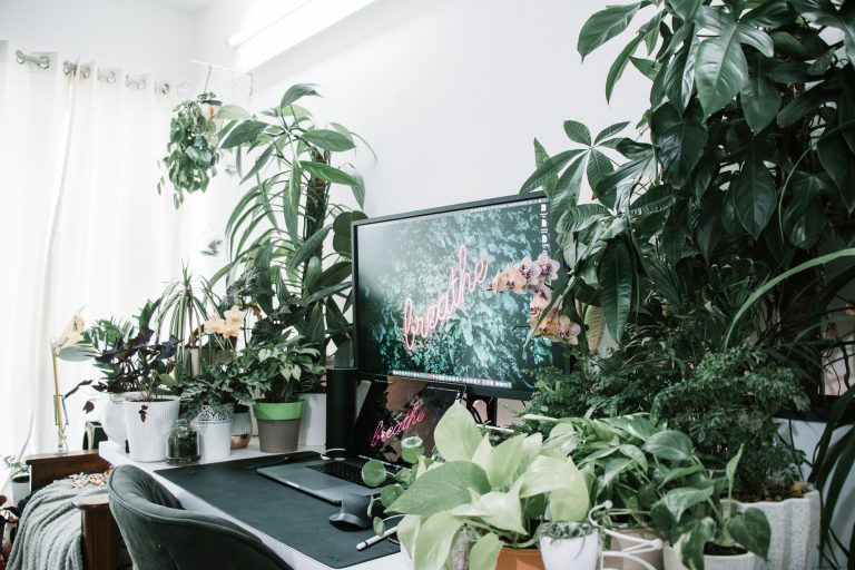 déco jungle