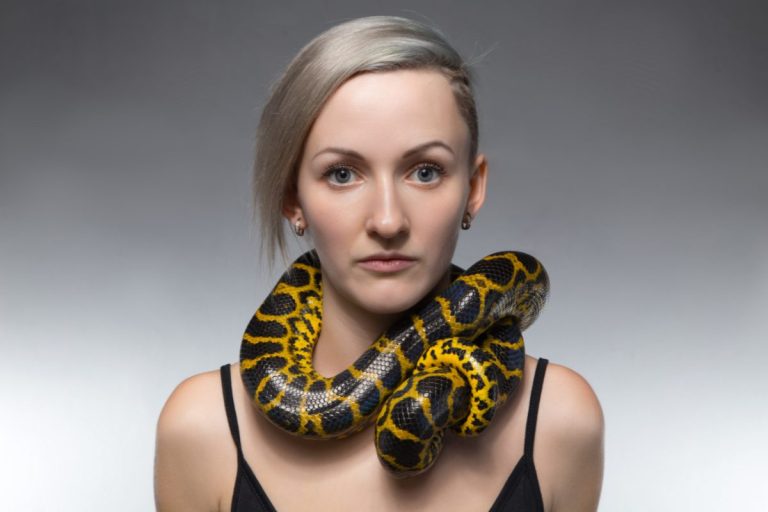 collier-serpent-illustration