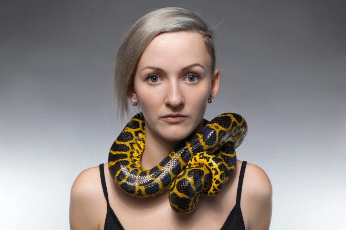 collier-serpent-illustration