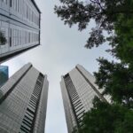 découvrez des conseils pratiques pour apprendre à votre chat à utiliser un griffoir et préserver vos meubles tout en respectant son instinct naturel.