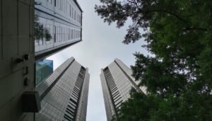 découvrez des conseils pratiques pour apprendre à votre chat à utiliser un griffoir et préserver vos meubles tout en respectant son instinct naturel.